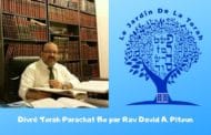 Divré Torah Parachat Bo par Rav David A. Pitoun