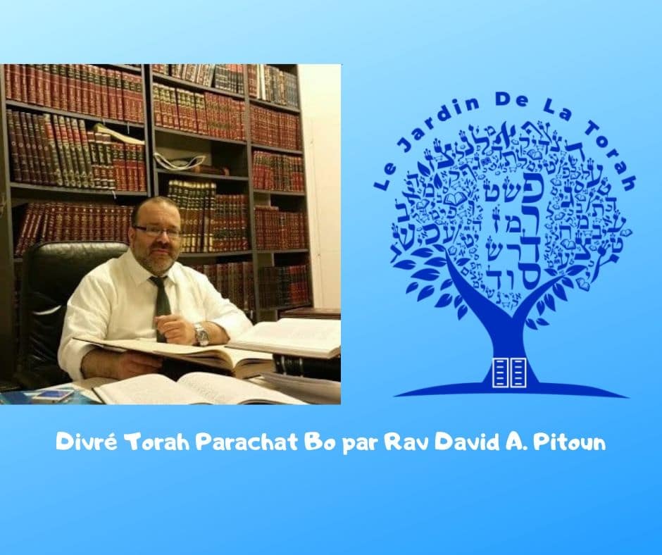 Divré Torah Parachat Bo par Rav David A. Pitoun