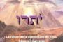 Divré Torah sur Parachat Ytro Rav David Pitoun