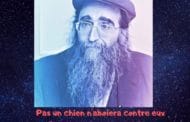 Pas un chien n'aboiera contre eux - Rav Yoshiahou Pinto