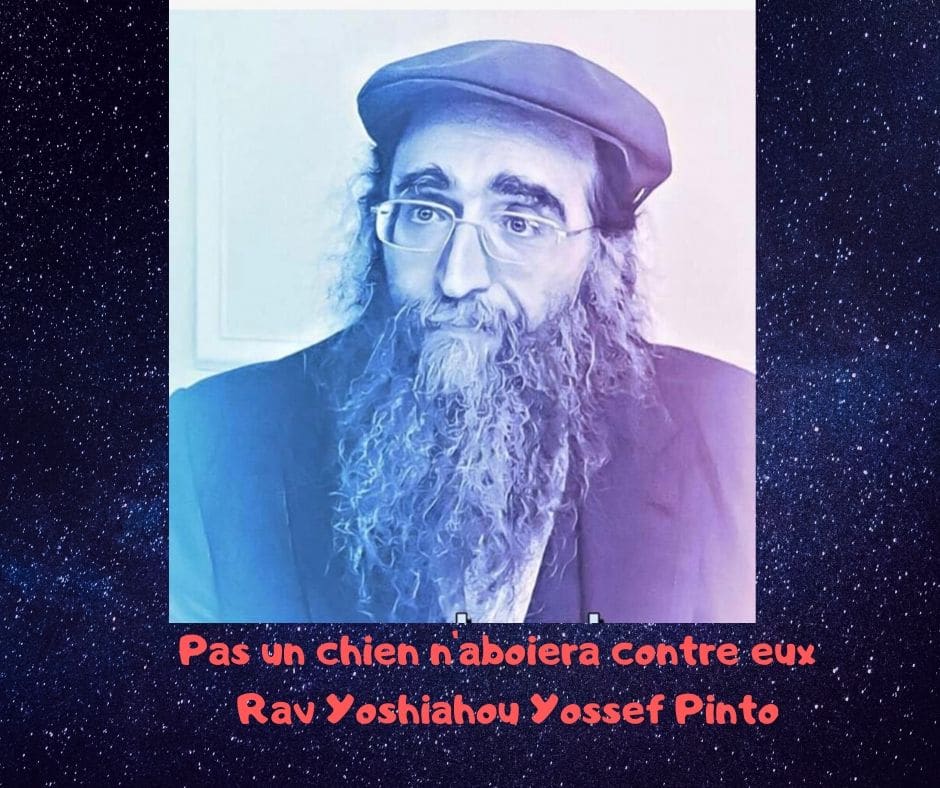 Pas un chien n'aboiera contre eux - Rav Yoshiahou Pinto