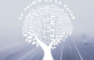 Retrouvez la série SMS TORAH (Sms Torah)