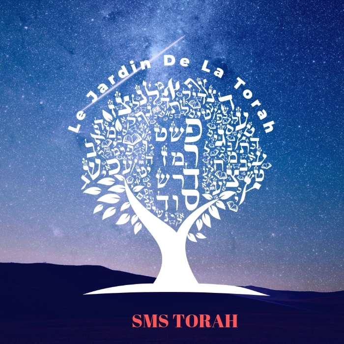 L'indifférence de Pharaon et l'empathie de Moché Rabbénou (Sms Torah)