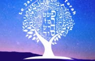 L'étude de la Torah rend perspicace. (Sms Torah)