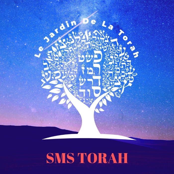 L'étude de la Torah rend perspicace. (Sms Torah)