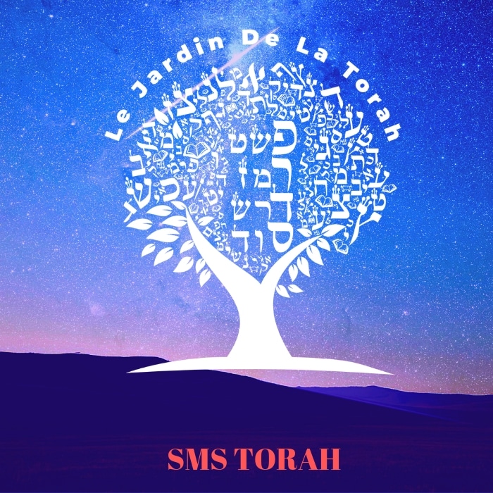 La Torah, ça ne se lit pas, ça s'apprend (Sms Torah)