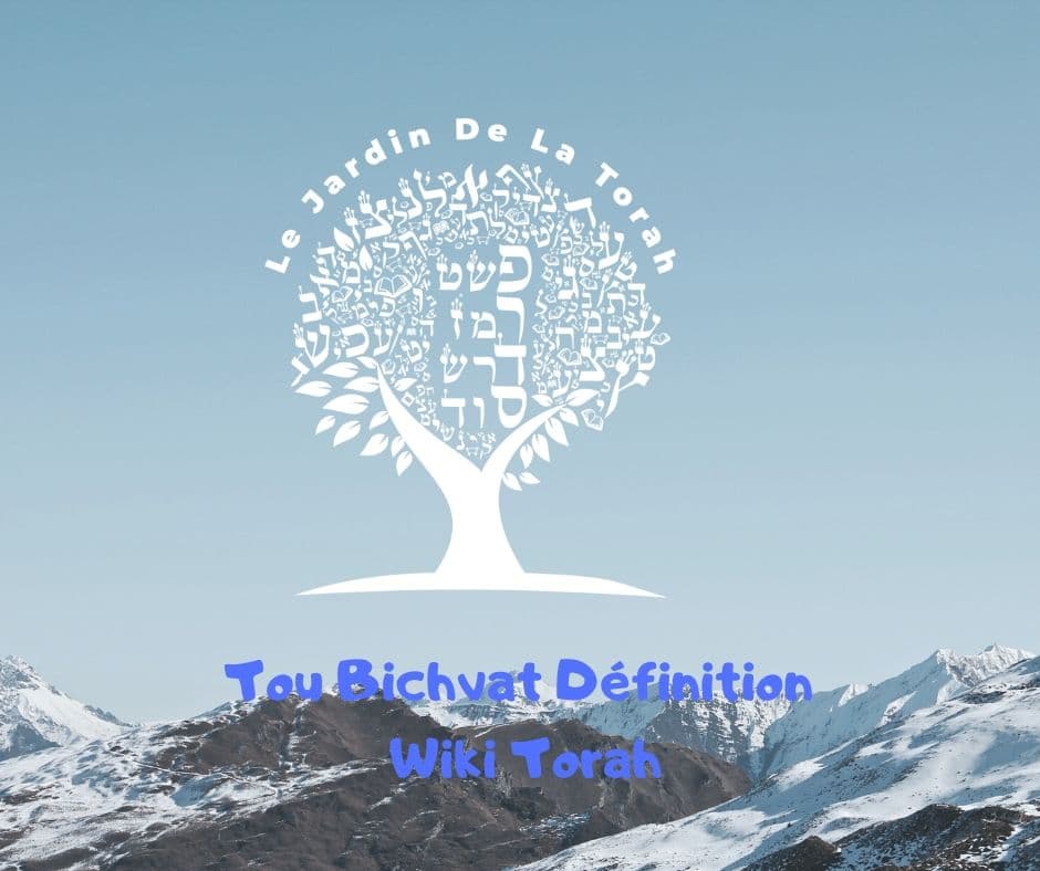 Tou Bichvat définition - Wiki Torah