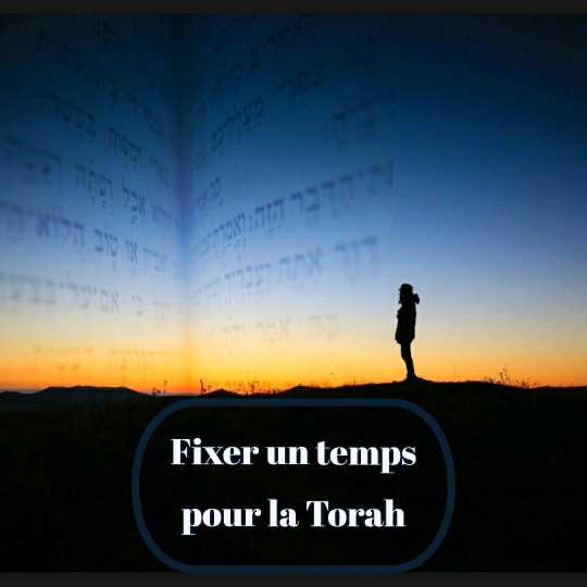 Fixer des moments de Torah est essentiel - Mickaël Marciano