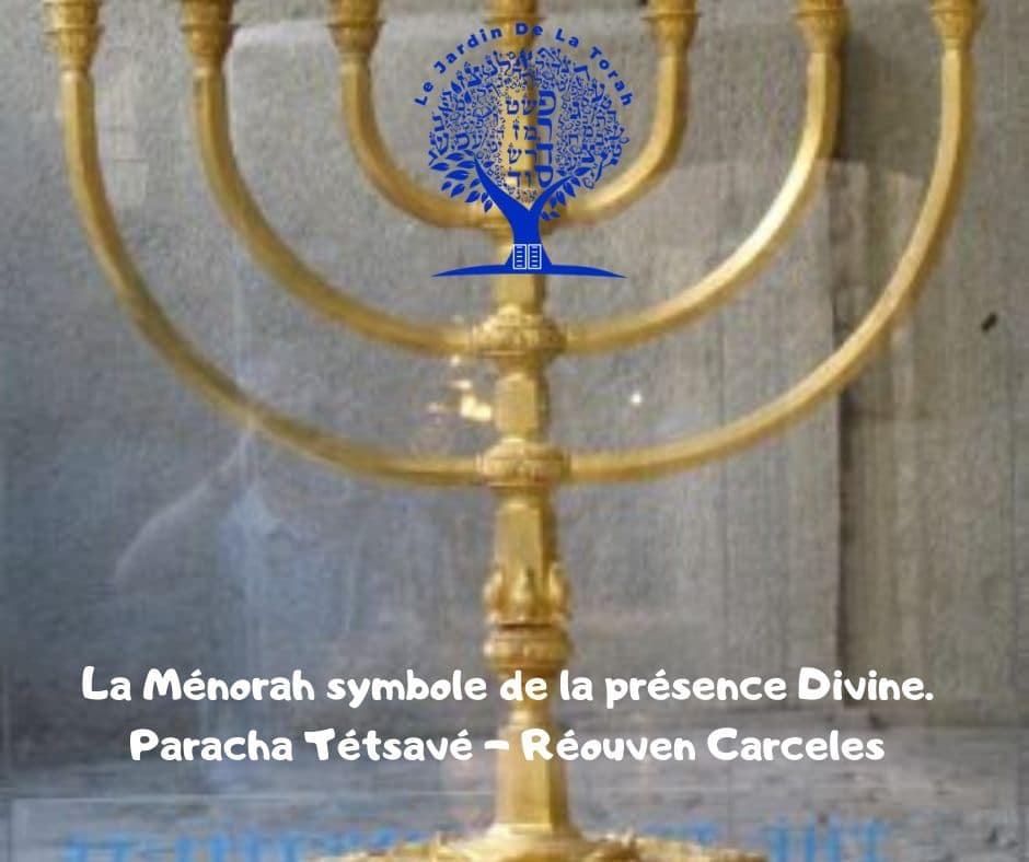 La Ménorah symbole de la présence Divine. Paracha Tétsavé