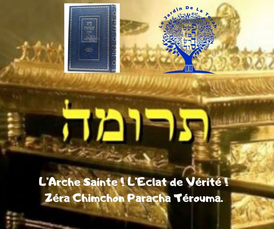 L’Arche Sainte ! L’Eclat de Vérité ! Zéra Chimchon Paracha Térouma