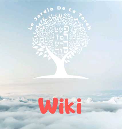 Wiki - Quantité de pain nécessaire pour Nétilat Yadaïm et Birkat Hamazon