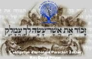 L’obligation d’entendre Parachat Zakhor - Rav David Pitoun