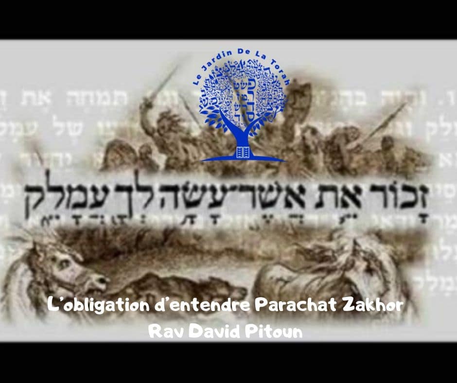L’obligation d’entendre Parachat Zakhor - Rav David Pitoun
