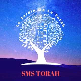 L'homme est en déplacement permanent (Sms Torah)