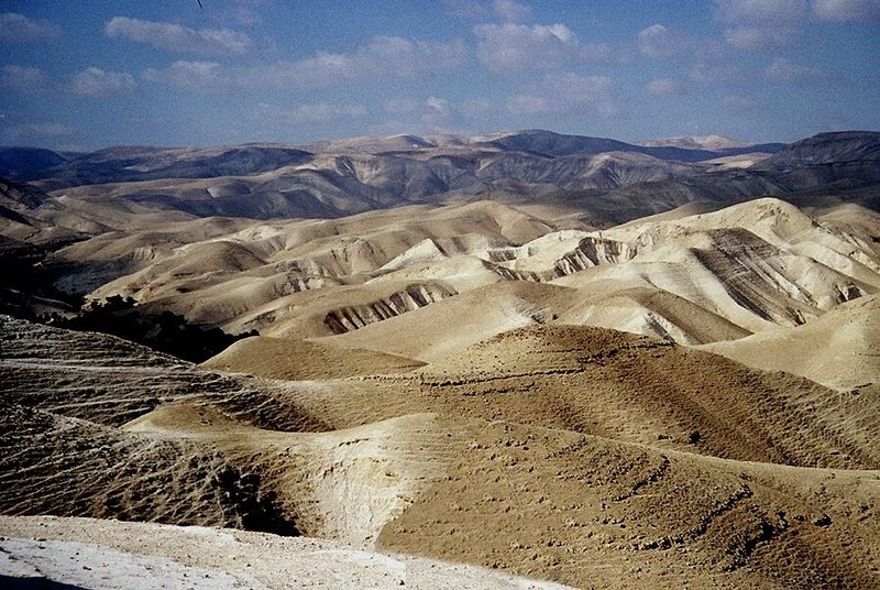La ségoula des 42 étapes dans le désert - Michel Baruch