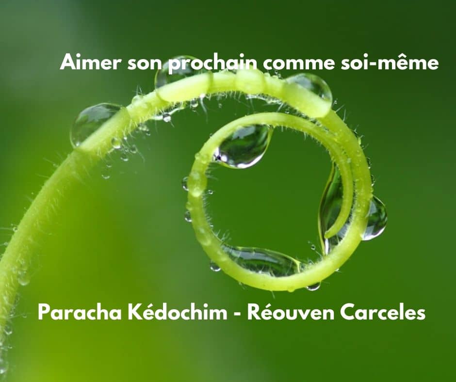 Aimer son prochain comme soi-même Paracha Kédochim