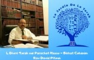 Divré Torah parachat Nasso - Rav David Pitoun