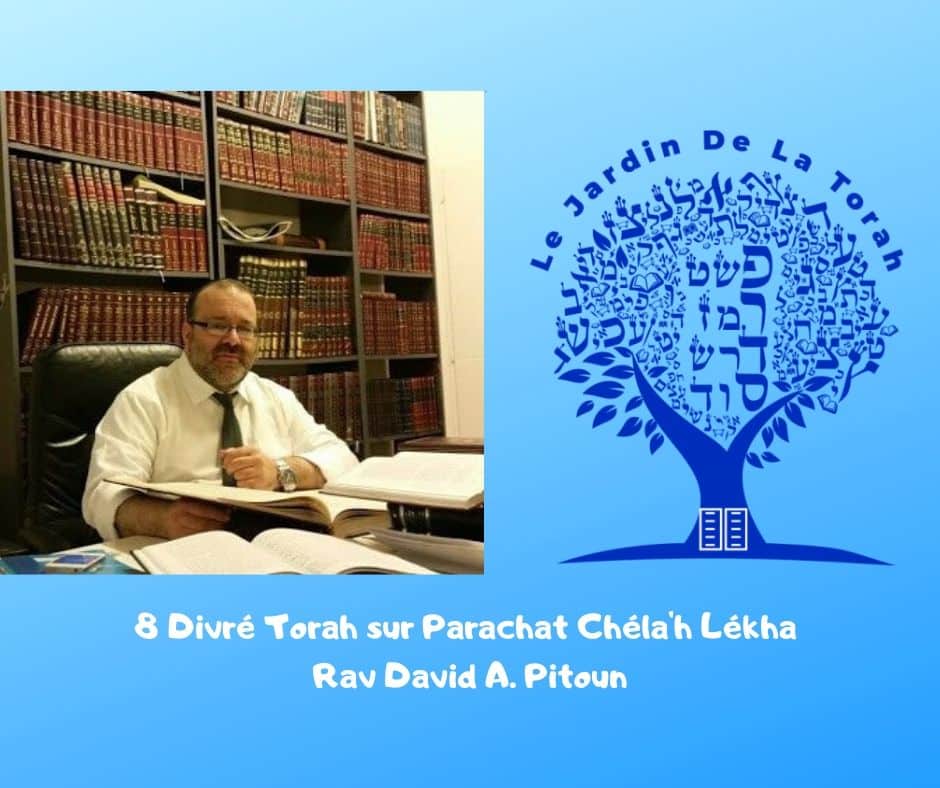 8 Divré Torah sur Paracha Chéla'h Lékha - Rav David Pitoun
