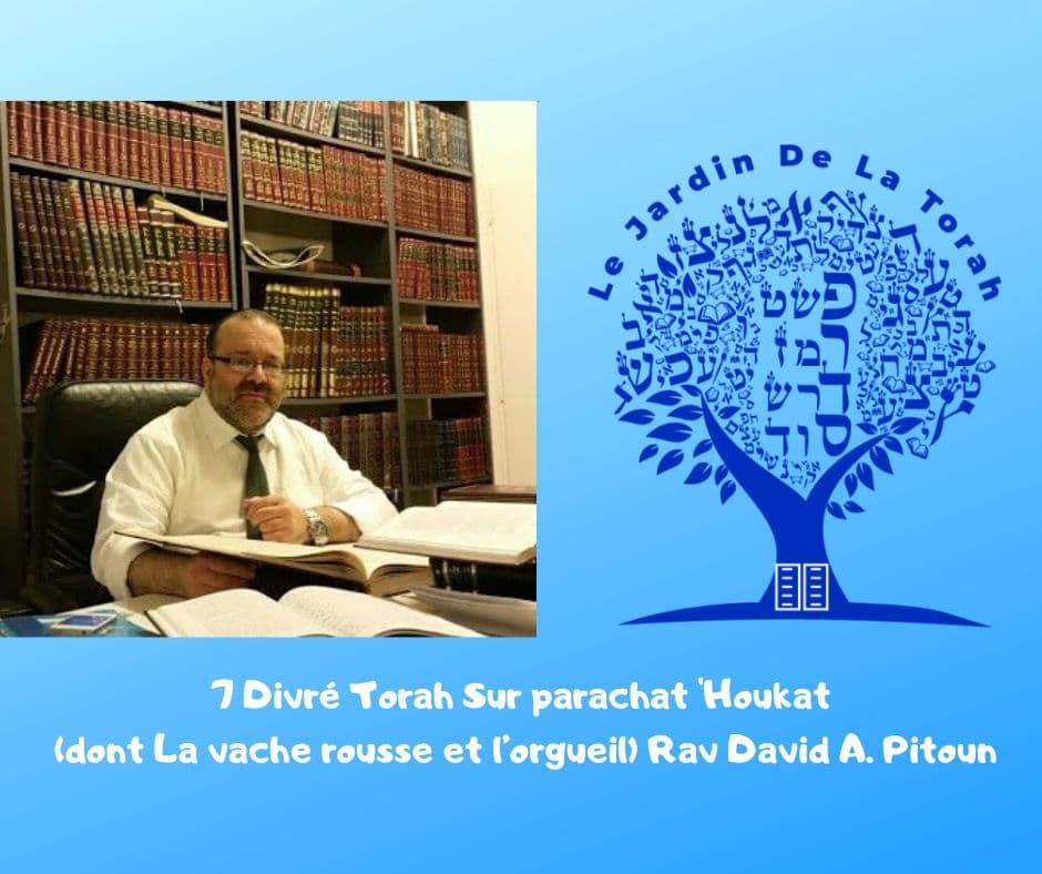 Parachat Houkat - La vache rousse et l’orgueil - Rav David Pitoun