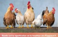 Quelle est la signification de la tradition des Kapparot ? Rav David Pitoun