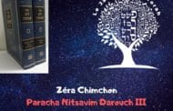 Zéra Chimchon Paracha Nitsavim Darouch 3 (écrit) - Torah Lichma