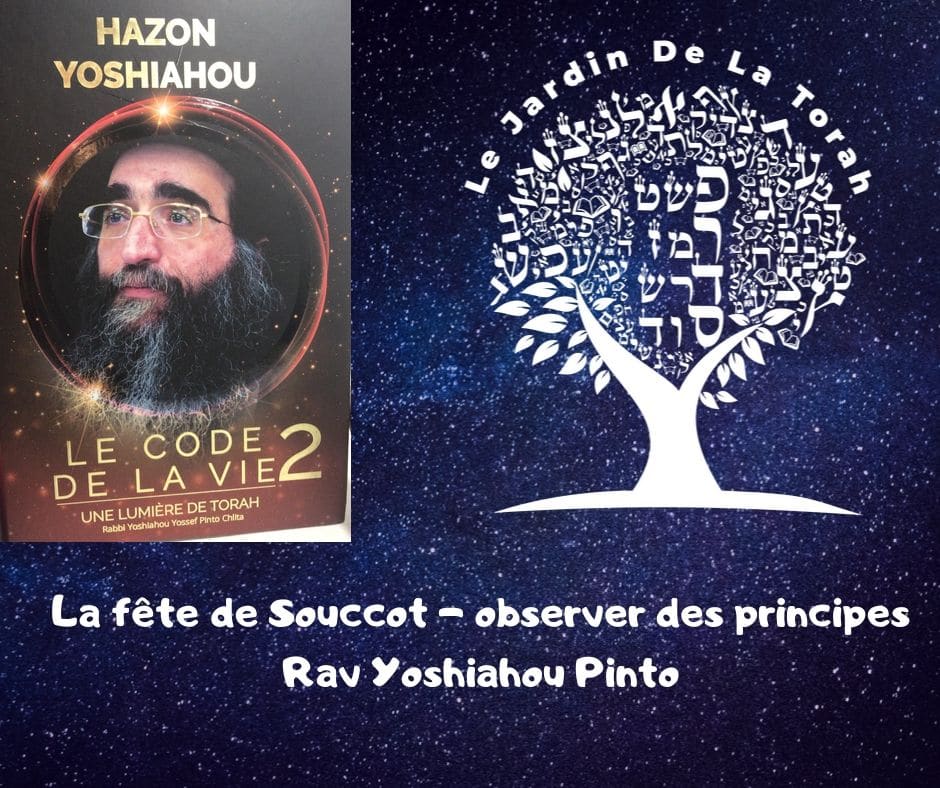 La fête de Souccot - observer des principes. Rav Yoshiahou Pinto