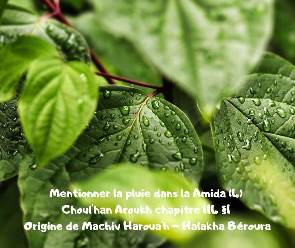 Mentionner la pluie dans la Amida (4) Ch. 114. Origine de Machiv Haroua'h