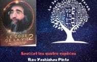 La fête de Souccot - les quatre espèces. Rav Yoshiahou Pinto