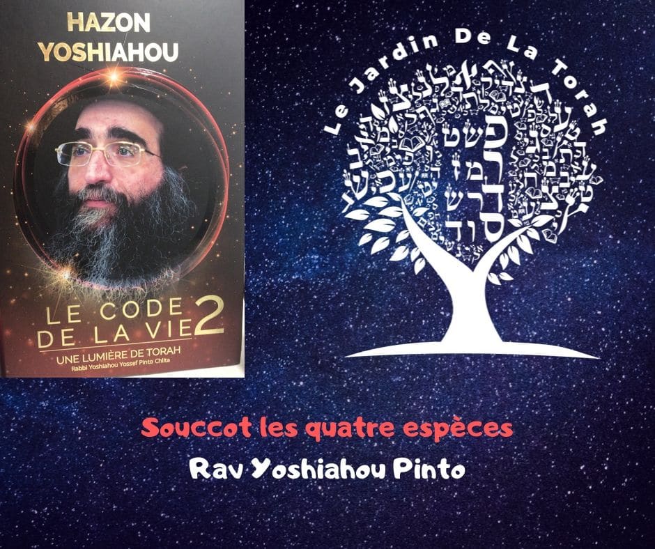 La fête de Souccot - les quatre espèces. Rav Yoshiahou Pinto