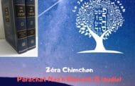 Zéra Chimchon Parachat Noah (audio) Darouch 8. Michel Baruch