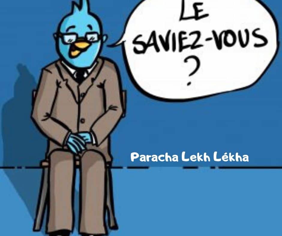 Le saviez vous Parachat Lekh Lékha ? Rav Michael Smadja