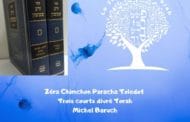 Quelques questions sur Parachat Toledot Zéra Chimchon - Michel Baruch