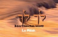 Zéra Chimchone Paracha Lekh Lékha (écrit) Darouch 27- La Milah