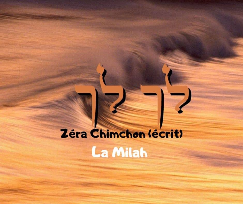 Zéra Chimchone Paracha Lekh Lékha (écrit) Darouch 27- La Milah