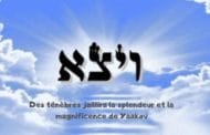 Des ténèbres jaillira la splendeur de Yaakov. Zéra Chimchon Vayétsé