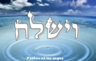 Yaakov et les anges Zéra Chimchon Paracha Vaychla'h