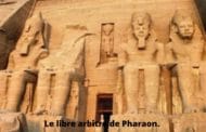 Le libre arbitre de Pharaon. Parachat Bo. Réouven Carceles