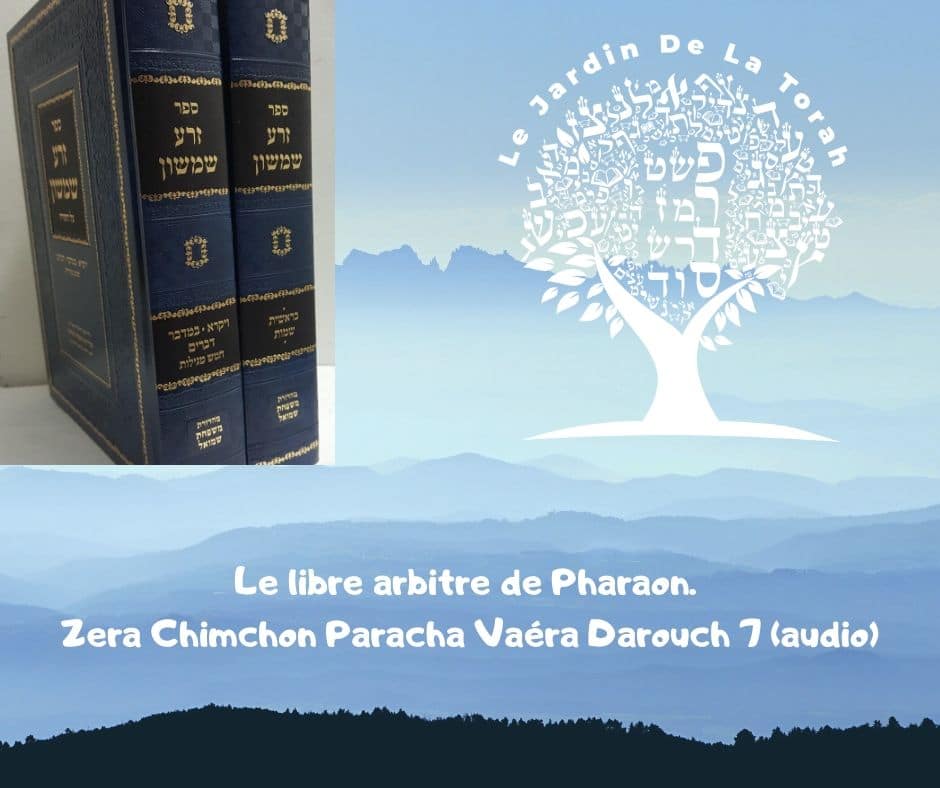 Le libre arbitre de Pharaon. Zera Chimchon Paracha Vaéra D7 (audio)
