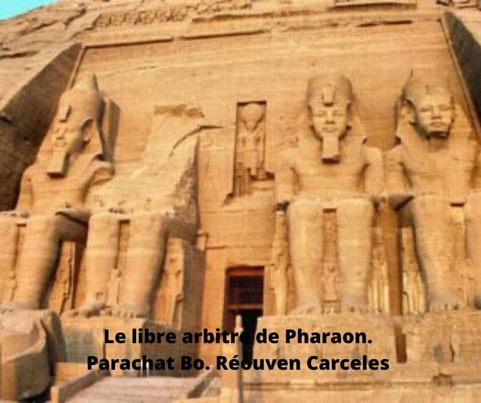 Le libre arbitre de Pharaon. Parachat Bo. Réouven Carceles