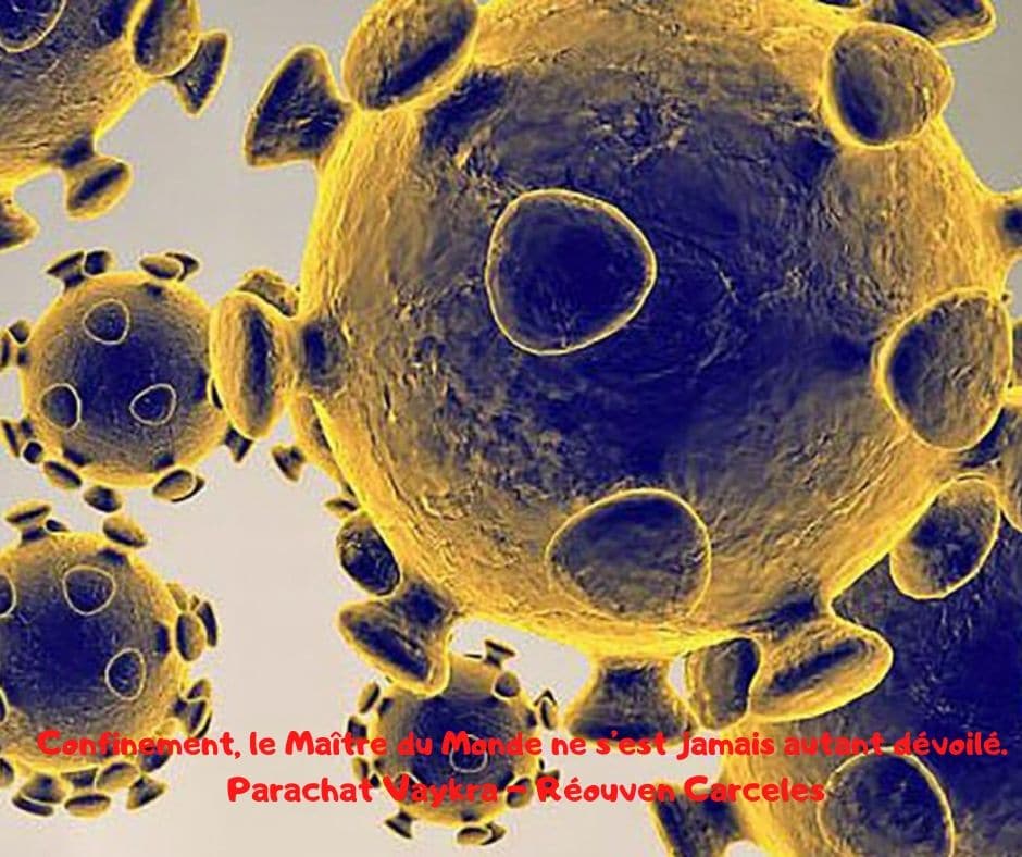 Confinement, le Maître du Monde ne s’est jamais autant dévoilé. Vaykra