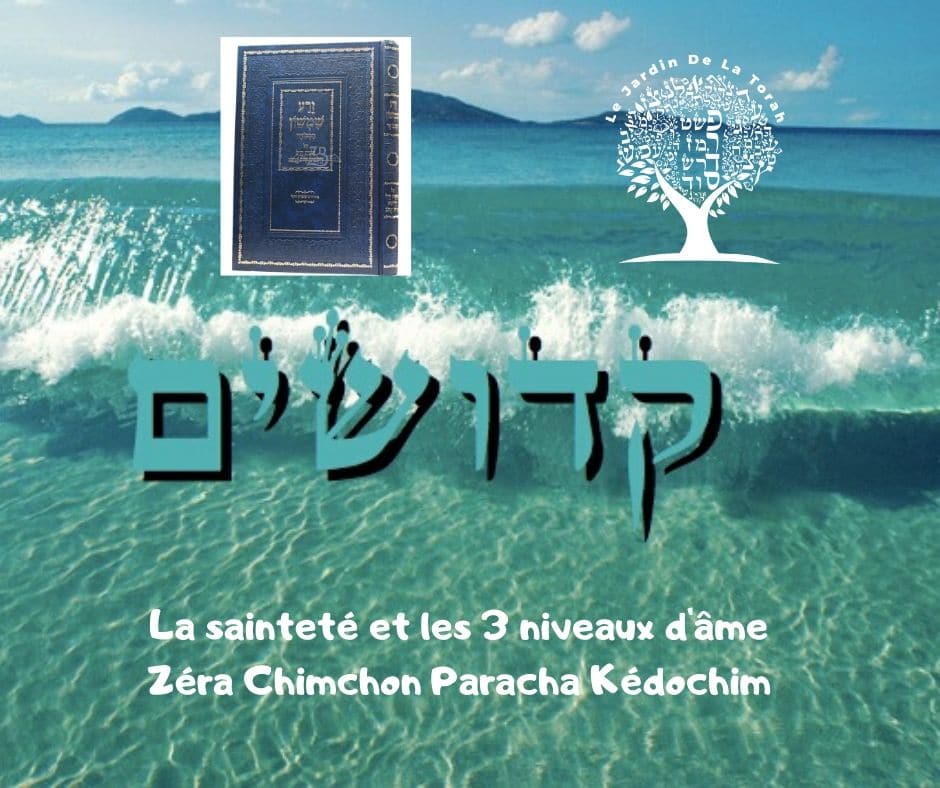 La sainteté et les 3 niveaux d'âme - Zéra Chimchon Paracha Kédochim