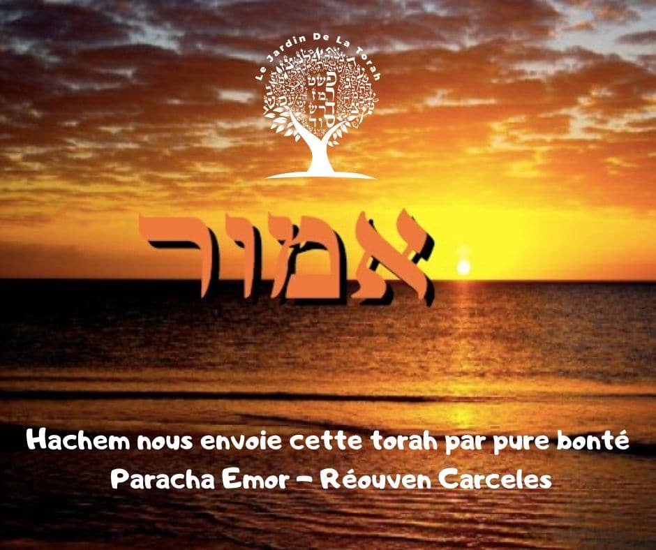 Hachem nous envoie cette torah par pure bonté - Paracha Emor