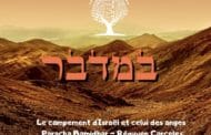 Le campement d'Israël et celui des anges -  Paracha Bamidbar