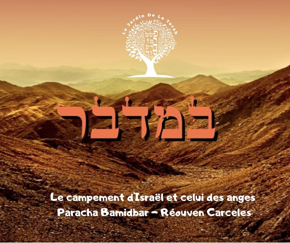 Le campement d'Israël et celui des anges -  Paracha Bamidbar