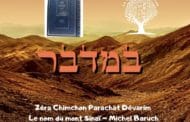 Zéra Chimchon Paracha Bamidbar Le nom du mont Sinaï Michel Baruch 