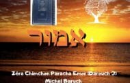 Zéra Chimchon Paracha Emor (Darouch 3) - Michel Baruch