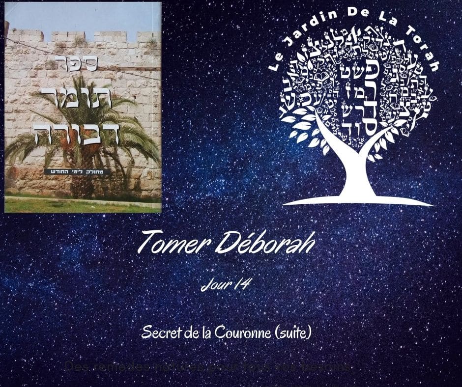 Tomer Déborah Palmier de Déborah Secret de la Couronne (4) Jour 14.