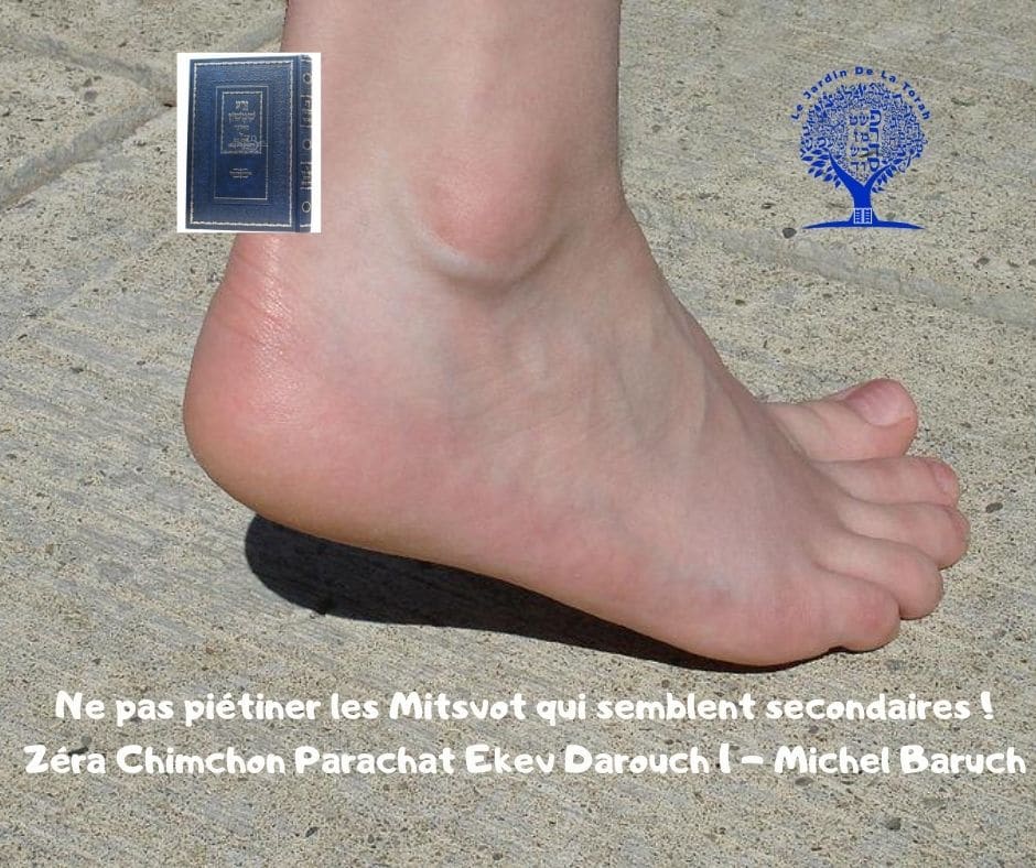 Ne pas piétiner les Mitsvot qui semblent secondaires Zera Chimchon Ekev