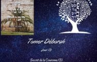 Tomer Déborah Secret de la Couronne (3) Jour 13 - 13. 13ème Attribut.