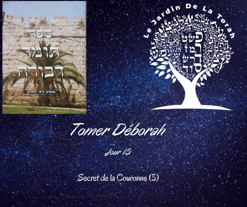 Secret de la Couronne (5) -Tomer Déborah - Jour 15 - 15. 13ème Attribut.